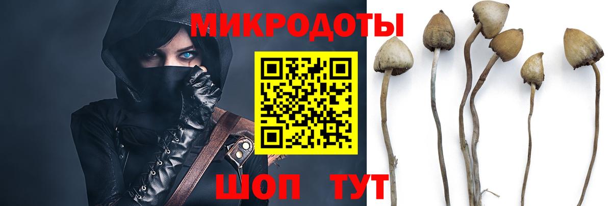 Галлюциногенные грибы Cubensis  Вход с VPN  Галлюциногенные грибы Cubensis  Дзержинский 
